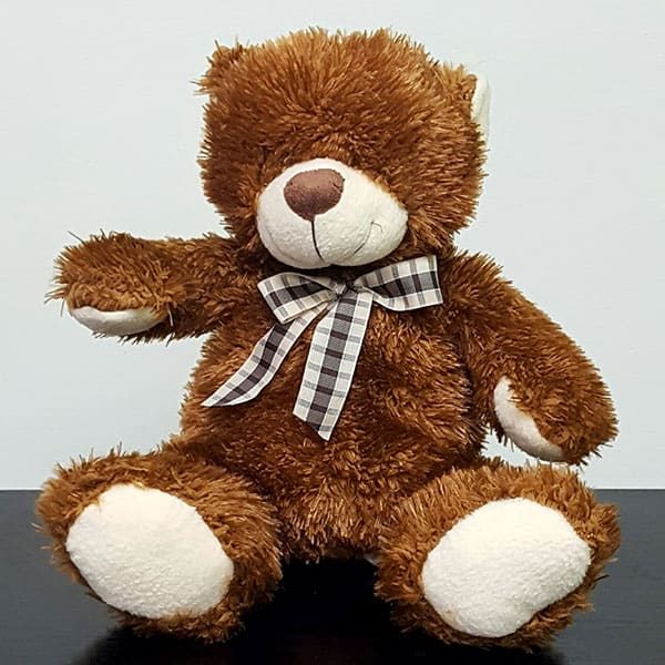 Medium Bear Plush