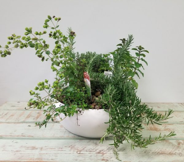Herb Garden
