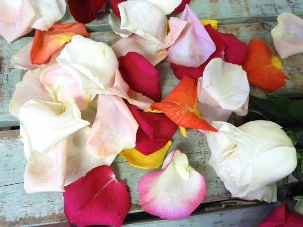 Rose Petals - Image 2