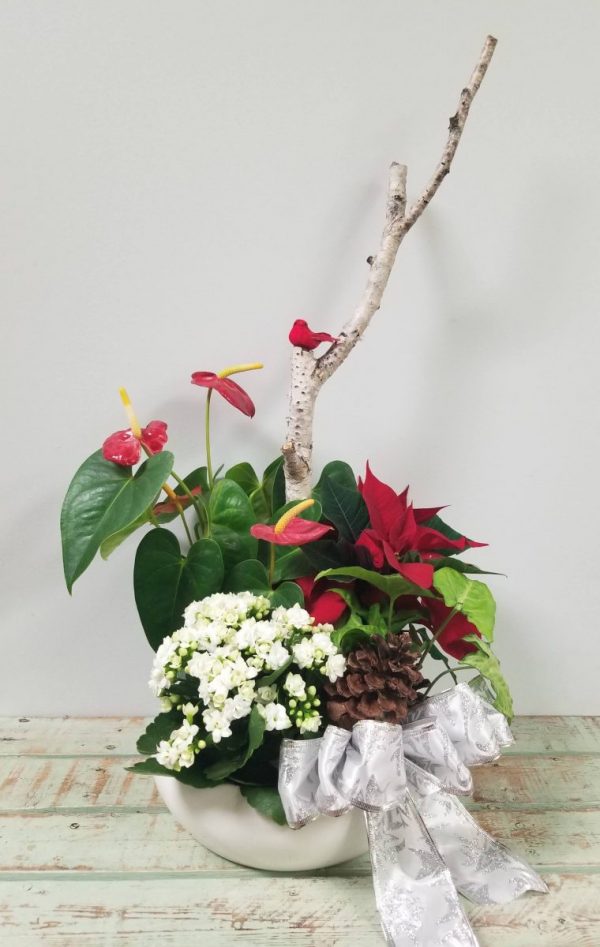 Winter Planter