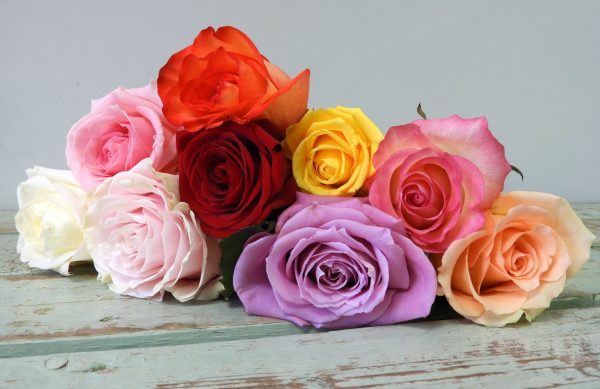 Luxurious Roses - Image 3