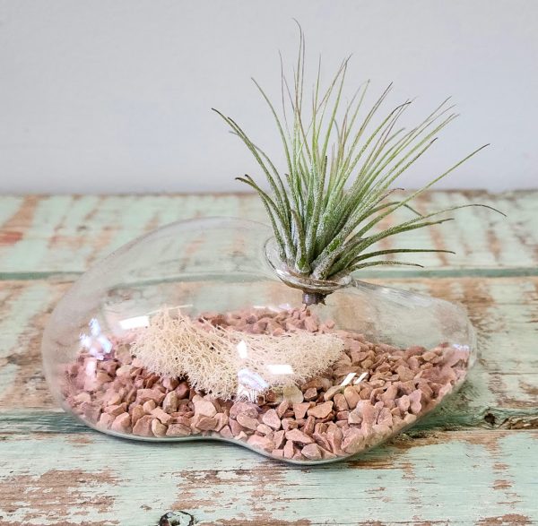 Floating Islands